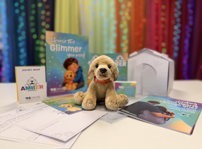 A cute soft toy dog with an amber collar sits beside his cardboard house and amongst useful leaflets and activity pages. Glimmering lights and colourful fabric is in the background.