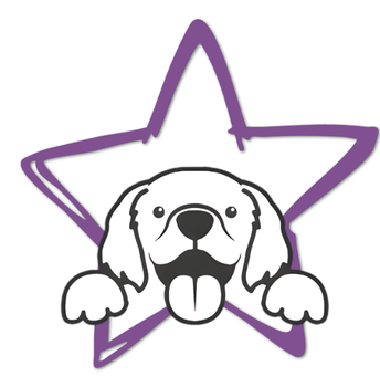 Sketch of Bamber Bear looking out of a star