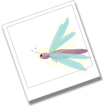 a dragonfly in a polaroid with a slight glow surrrounding